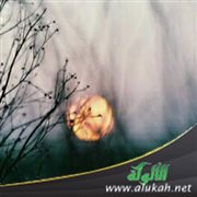 متى ستحقق ما تتمنى؟