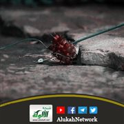 زوجي هجرني بسبب عنادي