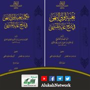 بغية أولي النهى شرح غاية المنتهى لابن العماد