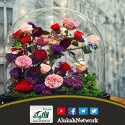 محتارة هل أوافق على هذا الزواج؟