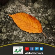 زوجي يخونني فكيف أتعامل معه؟