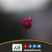 زوجي وزوجته الأولى