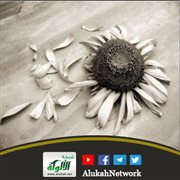 ليس لدي ثقة في الخطاب