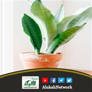 إذا أسأت سيئة في سريرة (بطاقة)