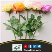 ما يخرج من فرج المرأة
