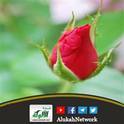 الملل من الحياة الزوجية