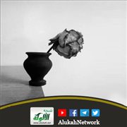 موت أبي وخطبتي