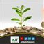 باب في الصدقة بلحوم الهدي وجلودها وجِلالها
