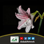 ظالم أشبه بمظلوم