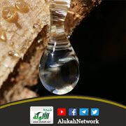 تفسير آية: {وَمِنْ ثَمَرَاتِ النَّخِيلِ وَالْأَعْنَابِ تَتَّخِذُونَ مِنْهُ سَكَرًا....}
