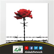 الشذوذ الجنسي لدى الفتيات