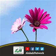 العفو والتسامح في حياته عليه الصلاة والسلام (خطبة)