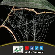 أوهن البيوت (خطبة)