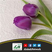 مقصود النكاح