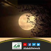 إنما هي نفس واحدة فإياك أن تغرر بها