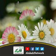 الذكر وفضله