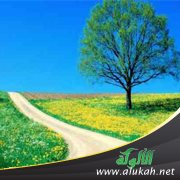 ليس بعد الحق إلا الضلال