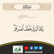 تفسير قوله تعالى: {يكاد البرق يخطف أبصارهم...}