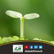 فقه الإحسان (2) (خطبة)