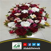 تنظيم النسل (1)