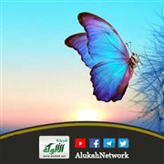الفراشة (قصة قصيرة)