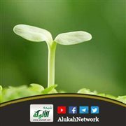 البركة وكيف تستجلب؟ (خطبة)
