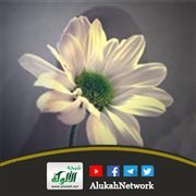 رعاية الأطفال في الإسلام وحقوقهم
