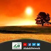 التأني وأهميته في حياة المسلم (خطبة)