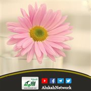 خطبة إدخال السرور على المسلم