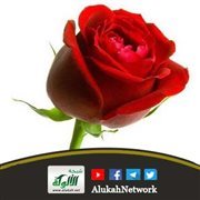 علمتنا روح الروح