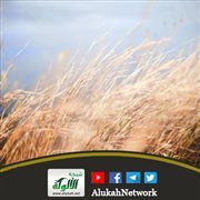 نظرة شمولية لمعنى الرزق (خطبة)