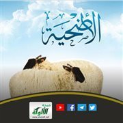 حكم الأضحية