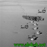 الرحيل