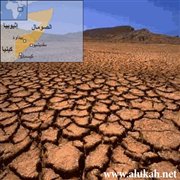 الإنسان آخر الاهتمامات
