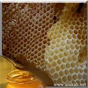 النحل والعسل.. عظات وعبر
