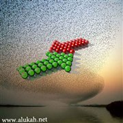 بظلامه أقبل علينا التناقض
