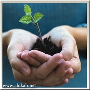 مرآة العمل الخيري (66)