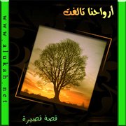 أرواحنا تآلفت