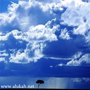 عصفور في الغربة