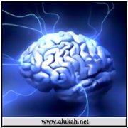 مرض الصرع والتشنجات (أسبابه وعلاجه)