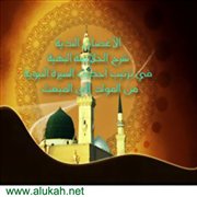 من المولد إلى المبعث (2)