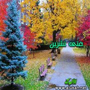 فتى تشرين