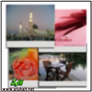 صور من الحياة