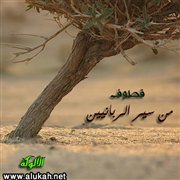 قطوف من سير الربانيين