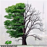 مرآة العمل الخيري (67)