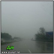 وينزل الغيث (5)