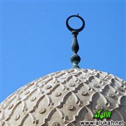 الفقر