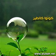 كونوا كالطير
