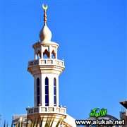 نظرات في واقع المسلمين (7)