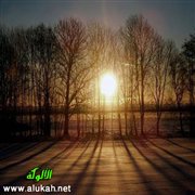 شمس خارج الغياب